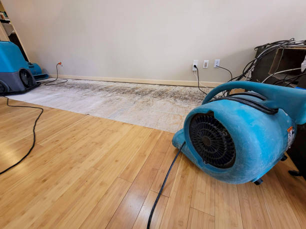 Professional Basement Flood Cleanup technician working in Grover, WY